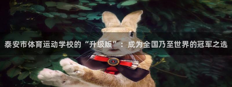 J9官方正版app集团官网网址：泰安市体育运动学校的“升级版