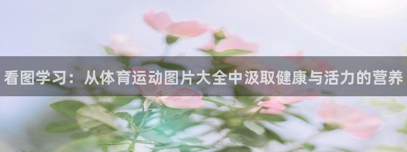 J9官网下载官方客服电话：看图学习：从体育运动图片大全中汲取