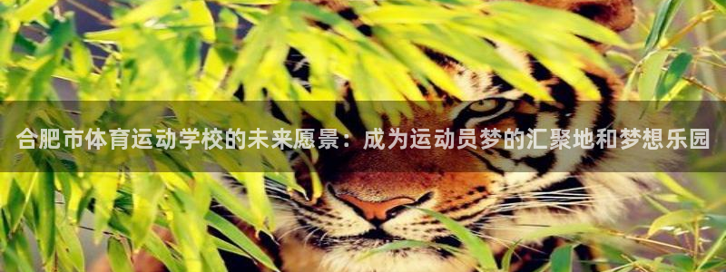 J9官方正版app娱乐代理怎么样：合肥市体育运动学校的未来愿