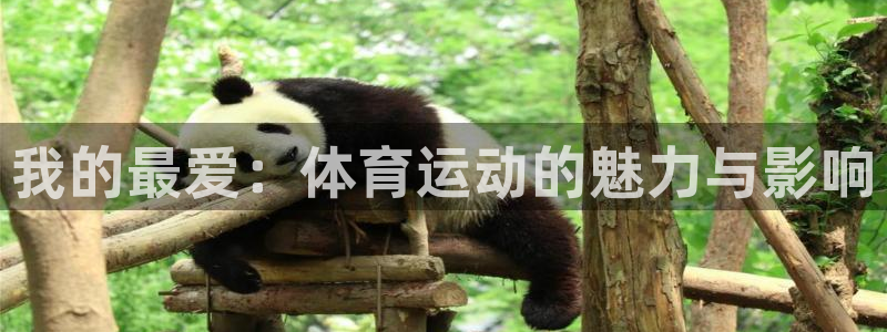 J9官网下载招商电话号码：我的最爱：体育运动的魅力与影响