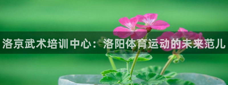 J9官方正版app官方：洛京武术培训中心：洛阳体育运