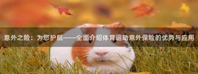 J9官方正版app娱乐网站：意外之险：为您护航——全