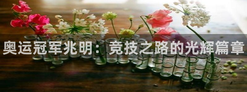 J9官网下载开户：奥运冠军兆明：竞技之路的光辉篇章