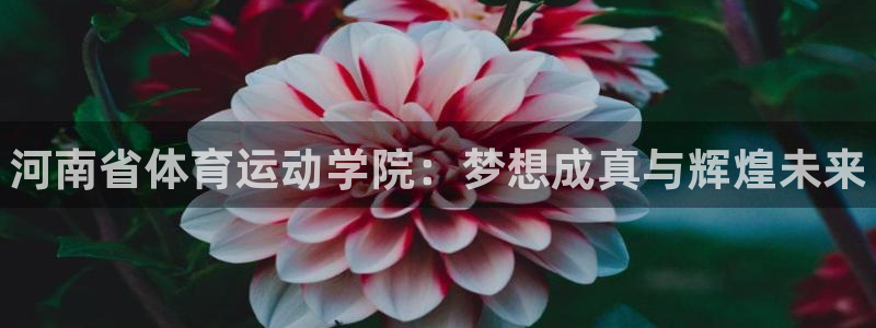 J9官网下载招商电话号码是多少啊：河南省体育运动学院：梦想成