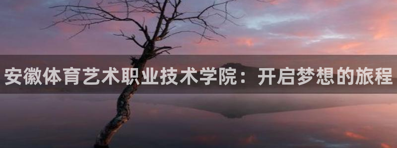 J9官网下载是干嘛的公司：安徽体育艺术职业技术学院：开启梦想