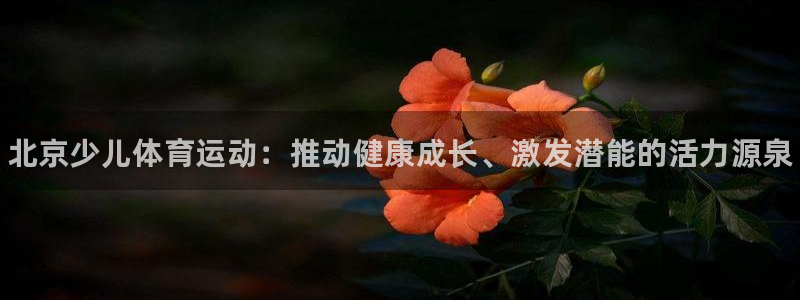 J9官方正版app娱乐是那个系列的台子：北京少儿体育运动：推