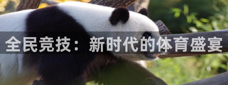 J9官网下载招商电话号码是多少号：全民竞技：新时代的体育盛宴