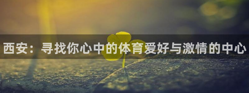 J9官网下载招商电话是多少：西安：寻找你心中的体育爱