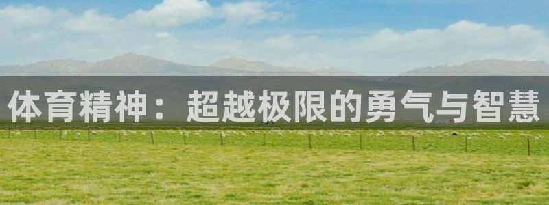 J9官网下载招商电话地址查询：体育精神：超越极限的勇