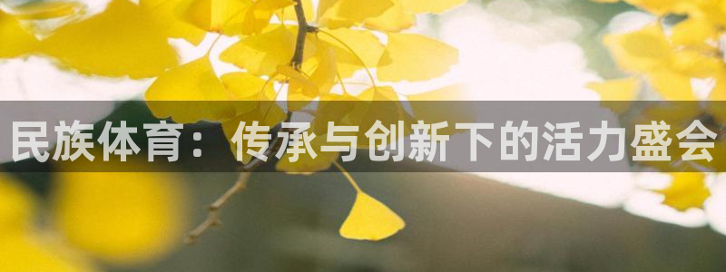 J9官网下载招商电话号码：民族体育：传承与创新下的活