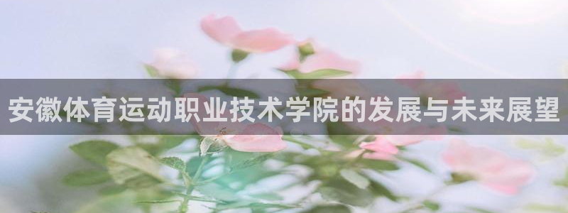 J9官网下载平台是正规平台吗：安徽体育运动职业技术学