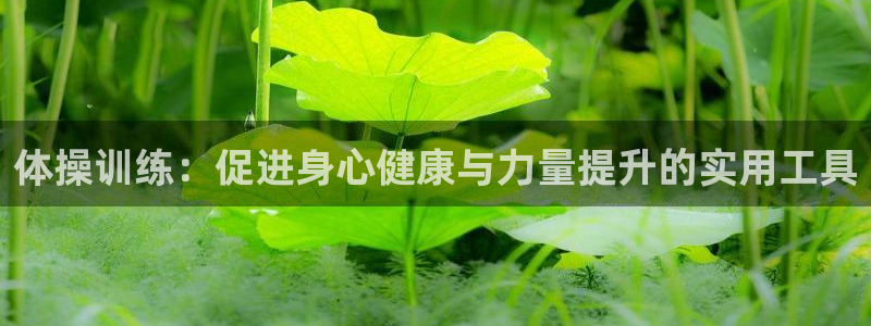 J9官方正版app神州：体操训练：促进身心健康与力量
