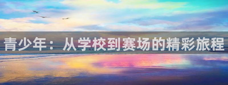 J9官方正版app官方：青少年：从学校到赛场的精彩旅