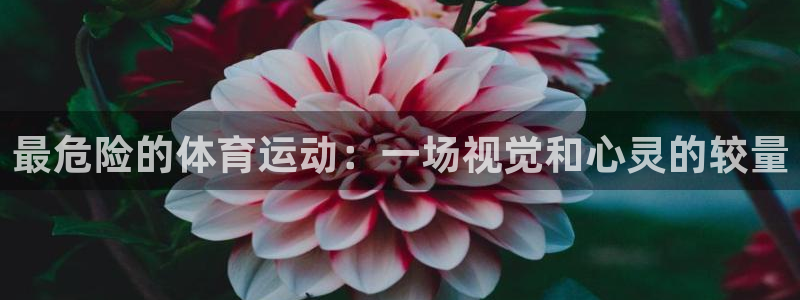 J9官方正版app集团E.ON：最危险的体育运动：一