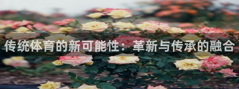 J9官网下载平台注册：传统体育的新可能性：革新与传承的融合