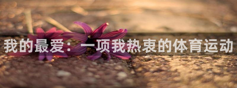 J9官网下载娱乐：我的最爱：一项我热衷的体育运动