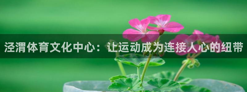 J9官方正版app代理：泾渭体育文化中心：让运动成为