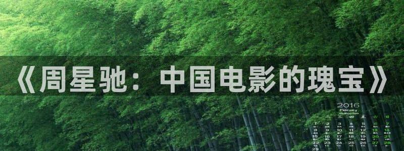 雨燕直播体育免费直播在线观看：《周星驰：中国电影的瑰宝》