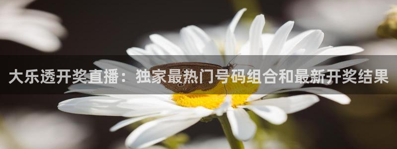 体育直播雨燕：大乐透开奖直播：独家最热门号码组合和最新开奖结果