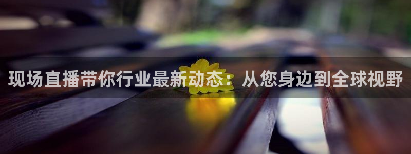 雨燕篮球直播免费