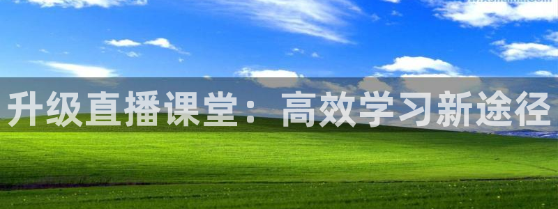 免费足球直播雨燕：升级直播课堂：高效学习新途径