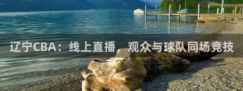 360直播吧雨燕