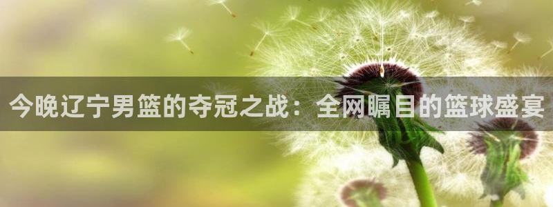 360雨燕免费直播足球比赛