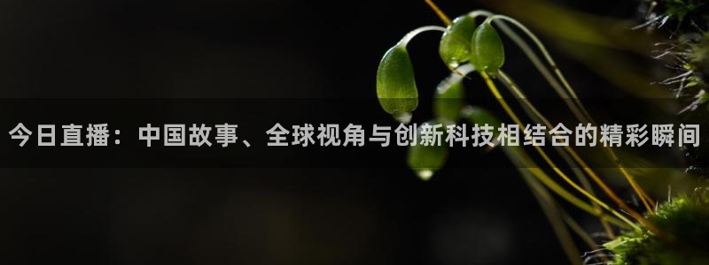 雨燕360足球高清直播