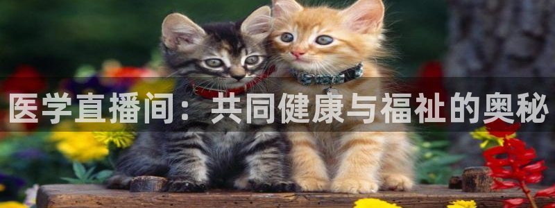 雨燕nba免费直播视频在线直播：医学直播间：共同健康与福祉的奥秘