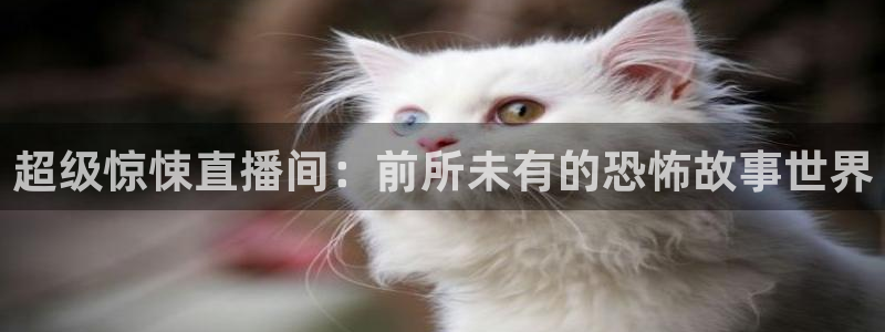 乐球直播雨燕直播