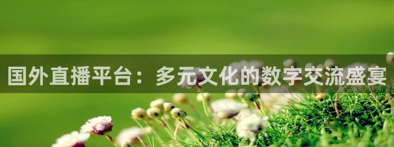 nba直播雨燕360平台：国外直播平台：多元文化的数字交流盛宴