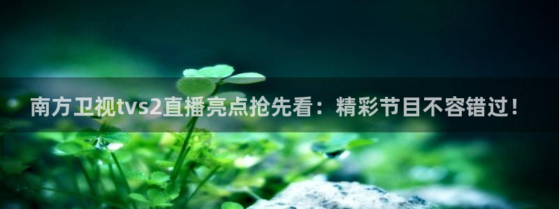 雨燕360体育直播全网发布.快速玩.org：南方卫视tvs2直播亮点抢先看：精彩节目不容错过！