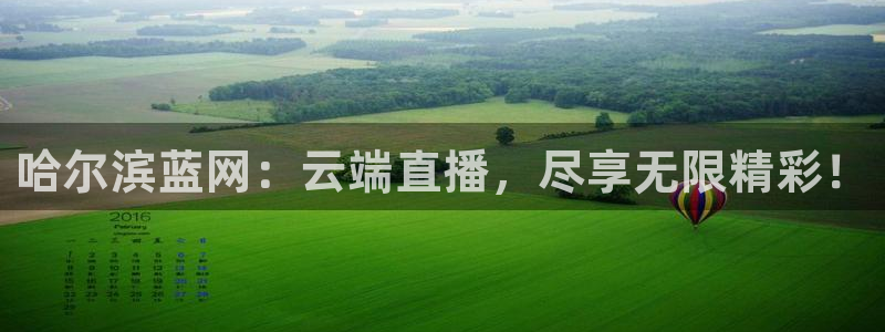 nba直播雨燕在线观看：哈尔滨蓝网：云端直播，尽享无限精彩！