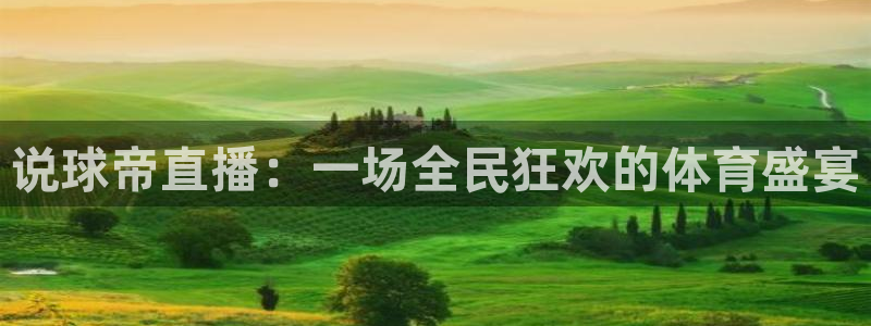 360足球直播雨燕直播：说球帝直播：一场全民狂欢的体育盛宴